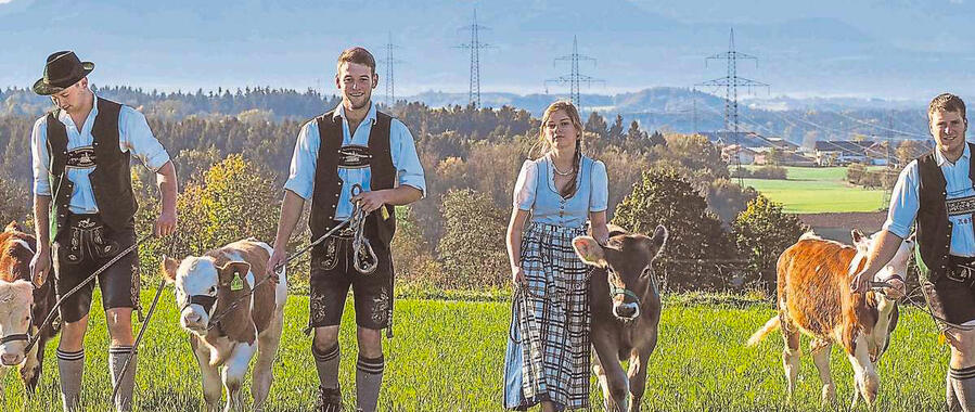 Festprogramm - Vorschau