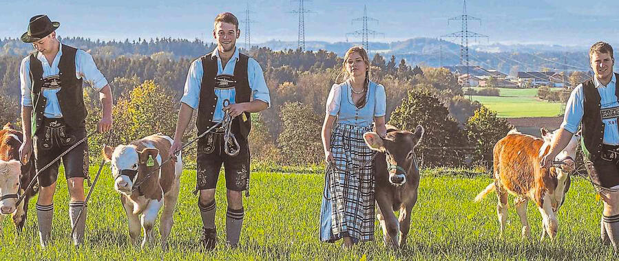 Anmeldung zum Ochsenrennen